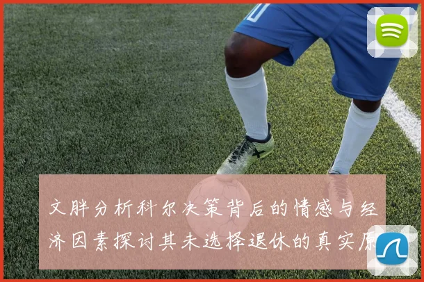 文胖分析科尔决策背后的情感与经济因素探讨其未选择退休的真实原因